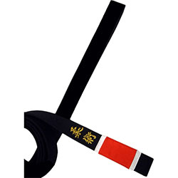 BJJ Belts